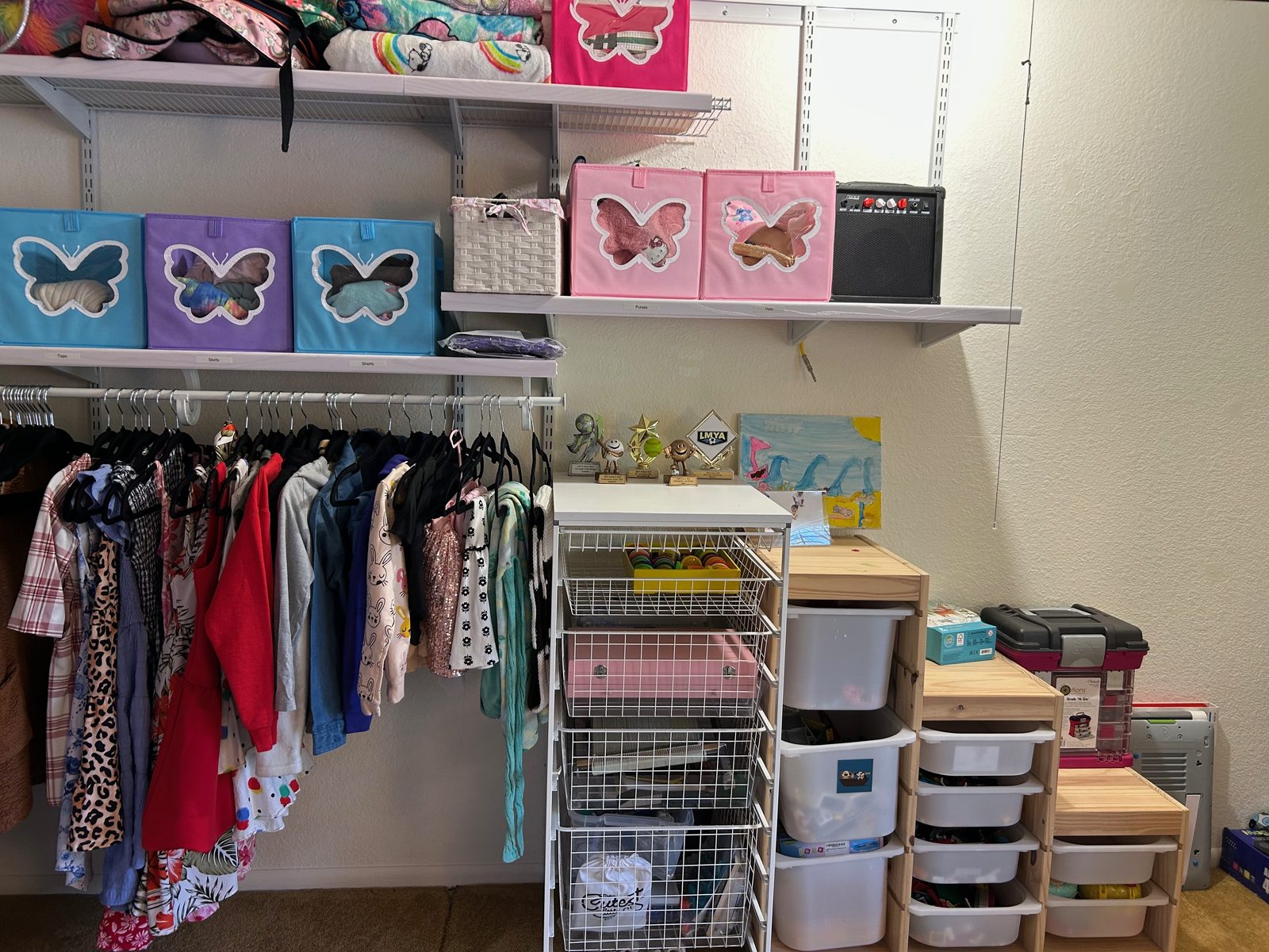 Girl's closet after — clothes hung, butterfly bins on the shelves, drawers organized